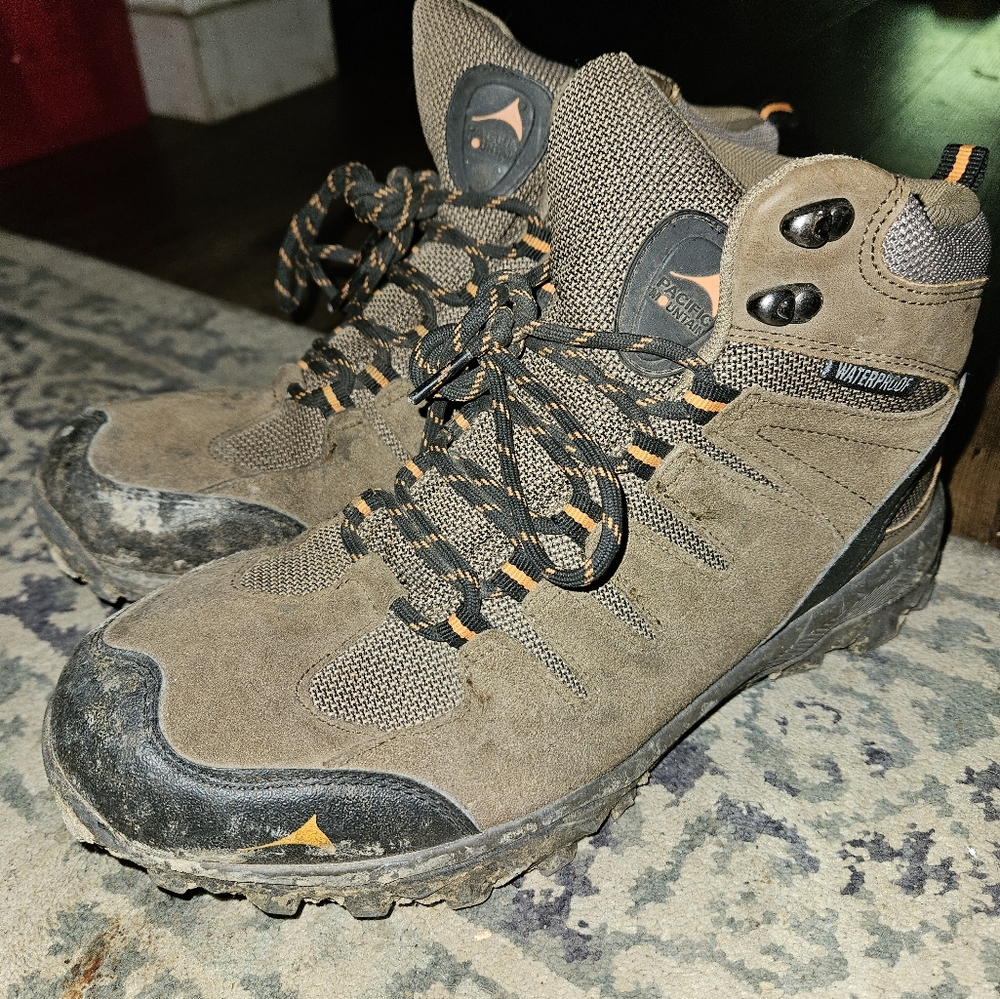 Men's hiking shoes
